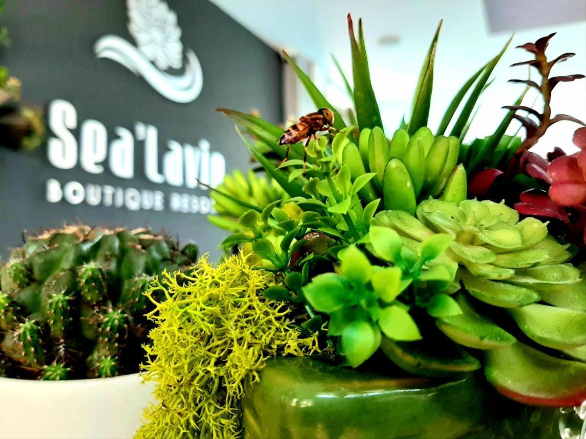 Sea Lavie Boutique & Khu nghỉ mát